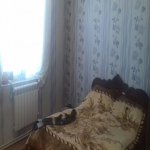 Satılır 3 otaqlı Həyət evi/villa, Binəqədi qəs., Binəqədi rayonu 5