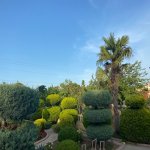 Kirayə (aylıq) 6 otaqlı Bağ evi, Mərdəkan, Xəzər rayonu 4