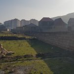 Satılır Torpaq, Avtovağzal metrosu, Sulutəpə qəs., Binəqədi rayonu 2