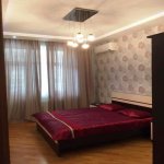 Kirayə (aylıq) 3 otaqlı Yeni Tikili, Nizami metrosu, Yasamal rayonu 9