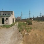 Satılır Torpaq, Saray, Abşeron rayonu 9