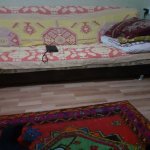 Kirayə (aylıq) 1 otaqlı Həyət evi/villa Xırdalan 2