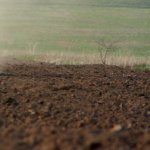 Satılır Torpaq, Binə qəs., Xəzər rayonu 7