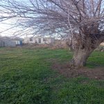 Satılır Torpaq, Masazır, Abşeron rayonu 2