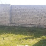 Satılır Torpaq, Novxanı, Abşeron rayonu 3