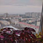 Satılır 3 otaqlı Yeni Tikili, Qara Qarayev metrosu, Nizami rayonu 3