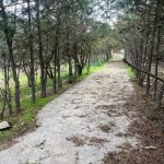 Satılır Torpaq, Bilgəh qəs., Sabunçu rayonu 6