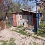 Satılır Torpaq Quba 1