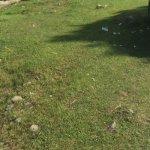 Satılır Torpaq, Yasamal rayonu 3