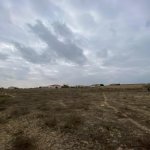 Продажа Участок, пос. Пиршаги, Сабунчу район 4