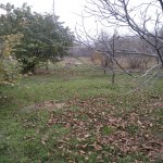 Satılır Torpaq Şamaxı 2