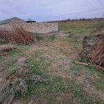 Satılır Torpaq Sabirabad 9