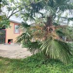 Kirayə (günlük) 3 otaqlı Həyət evi/villa İsmayıllı 2