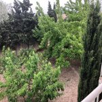 Продажа 6 комнат Дача, Шювалан, Хязяр район 46