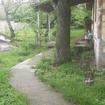 Kirayə (günlük) 3 otaqlı Həyət evi/villa Qəbələ 8