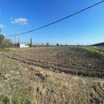 Satılır Torpaq Şabran 1