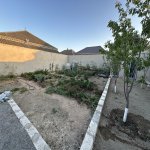 Satılır Torpaq, Binə qəs., Xəzər rayonu 3