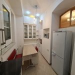 Kirayə (günlük) 2 otaqlı Köhnə Tikili, Sahil metrosu, Nəsimi rayonu 8