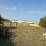 Продажа Участок, пос. Билгях, Сабунчу район 2