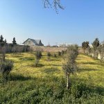 Satılır Torpaq, Şüvəlan, Xəzər rayonu 8