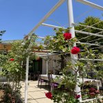 Satılır 6 otaqlı Bağ evi, Şüvəlan, Xəzər rayonu 22