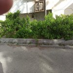 Kirayə (aylıq) 4 otaqlı Köhnə Tikili, Azadlıq metrosu, 8-ci mikrorayon, Binəqədi rayonu 9