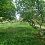 Kirayə (aylıq) 5 otaqlı Bağ evi, Novxanı, Abşeron rayonu 17
