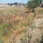 Продажа Участок, Туркян, Хязяр район 3