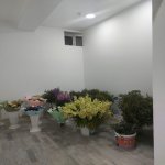 Kirayə (aylıq) Obyekt, Gənclik metrosu, Nərimanov rayonu 4