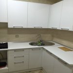 Kirayə (aylıq) 3 otaqlı Yeni Tikili, Bakıxanov qəs., Sabunçu rayonu 9