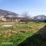Satılır Torpaq Şəki 3