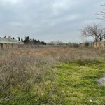 Satılır Torpaq, Nardaran qəs., Sabunçu rayonu 2