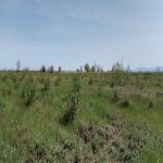 Продажа Участок Хачмаз 19