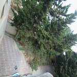Satılır 6 otaqlı Həyət evi/villa, Avtovağzal metrosu, Biləcəri qəs., Binəqədi rayonu 12