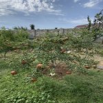 Satılır 6 otaqlı Bağ evi, Pirallahı rayonu 23