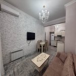 Kirayə (aylıq) 3 otaqlı Yeni Tikili, Nəriman Nərimanov metrosu, Nərimanov rayonu 2