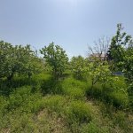 Satılır Torpaq, Xəzər rayonu 6