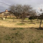 Satılır Torpaq, Fatmayi, Abşeron rayonu 2