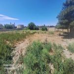 Продажа Участок, м. Автовокзал метро, пос. Бинагяди, Бинагадинский р-н район 2