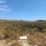 Satılır Torpaq, Novxanı, Novxanı Dalga T/M, Abşeron rayonu 5