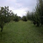Satılır Torpaq Xaçmaz 4