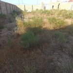 Продажа Участок, Зиря, Гянджлик Малл, Хязяр район 3