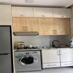 Kirayə (günlük) 3 otaqlı Bağ evi Lerik 3