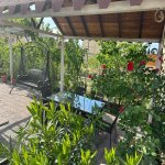 Kirayə (aylıq) 8 otaqlı Bağ evi, Novxanı, Abşeron rayonu 5