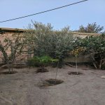 Аренда 1 комнатная Дача, пос. Пиршаги, Сабунчу район 16