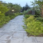 Kirayə (günlük) 3 otaqlı Həyət evi/villa, Türkan, Xəzər rayonu 23