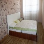 Kirayə (aylıq) 3 otaqlı Yeni Tikili, Nəsimi rayonu 10