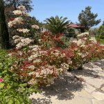 Satılır 4 otaqlı Bağ evi, Fatmayi, Abşeron rayonu 12