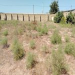 Satılır Torpaq, Zirə, Xəzər rayonu 1