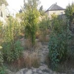 Satılır 8 otaqlı Bağ evi, Novxanı, Abşeron rayonu 15